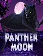 รีวิว pinnacle casino ที่ไม่ควรพลาดสำหรับนักเดิมพัน